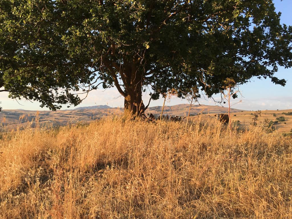 Agriturismo San Pietro Ганджи Экстерьер фото